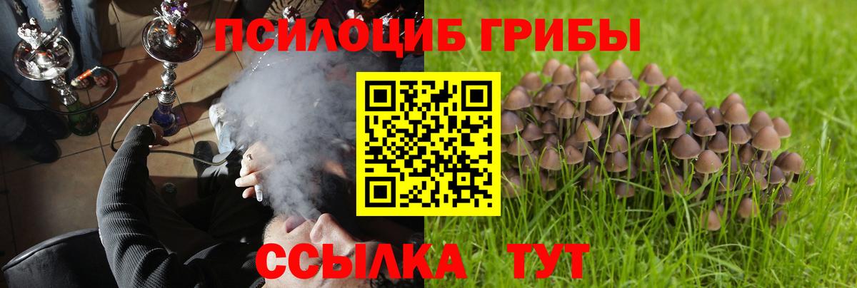 Псилоцибиновые грибы мухоморы  Вход с VPN  Карасук 